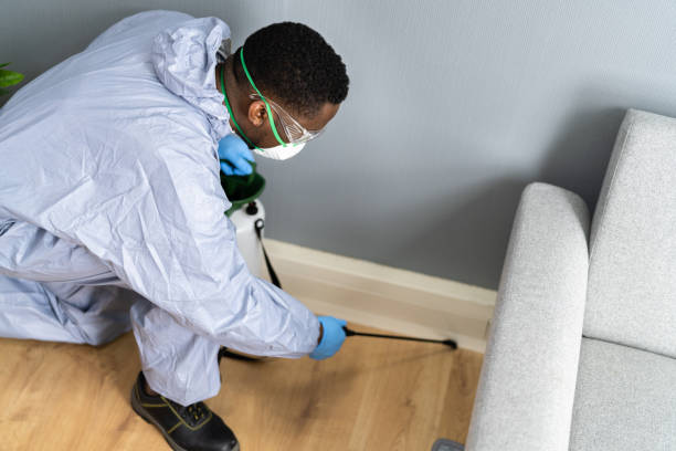 Emergency Pest Control in Laguna Niguel, CA